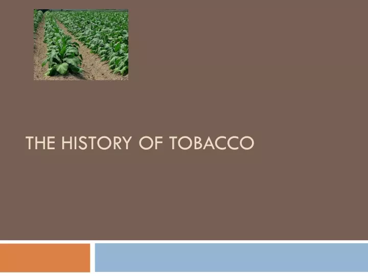 the history of tobacco