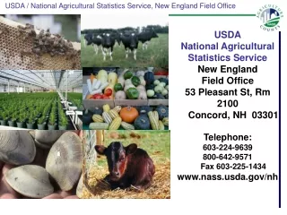 USDA National Agricultural Statistics Service  New England  Field Office 53 Pleasant St, Rm 2100