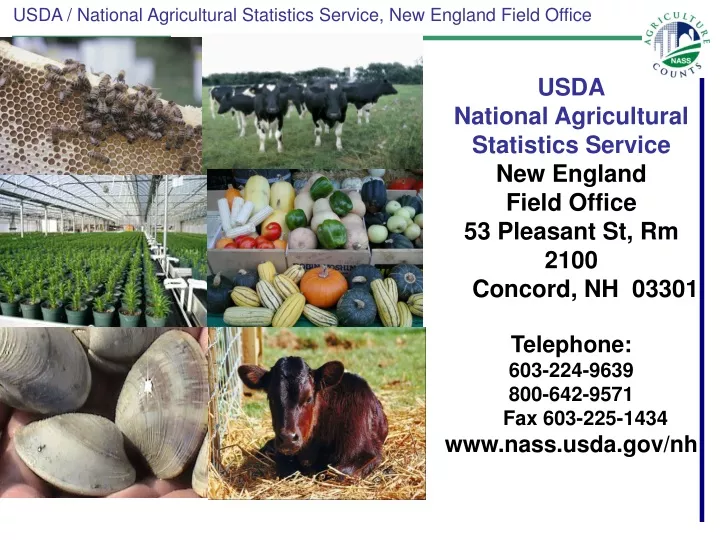 usda national agricultural statistics service