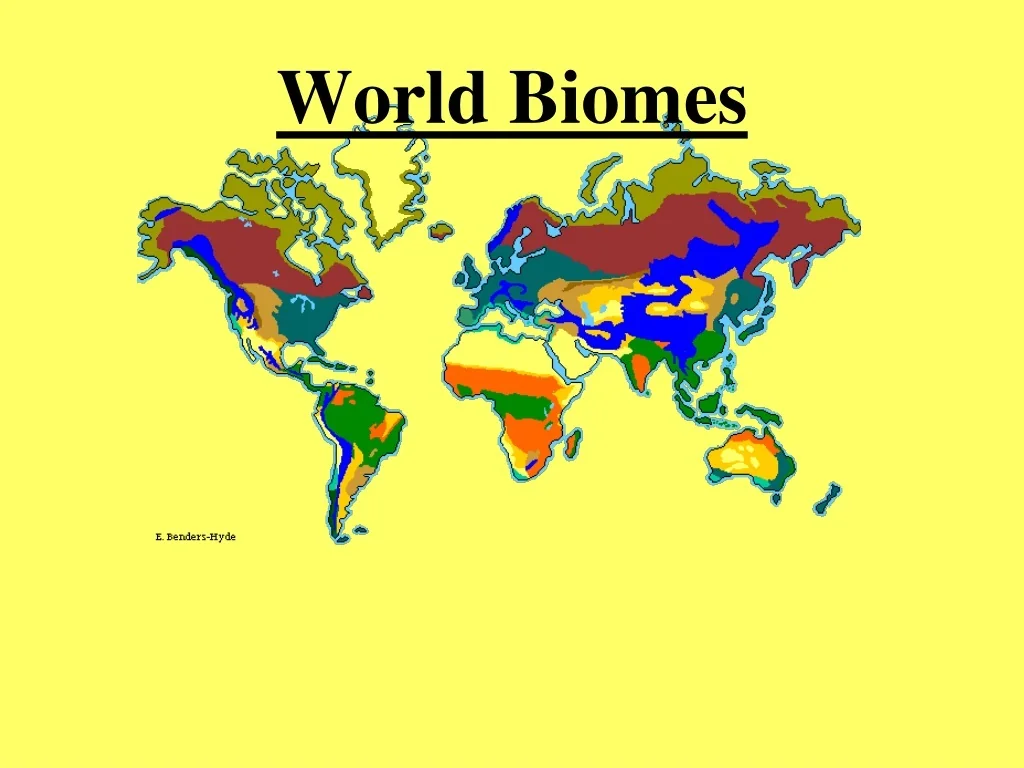 World Biomes - slide 1