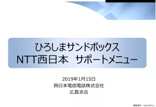 ひろしまサンドボックス NTT 西日本　サポートメニュー