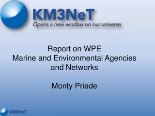 Report on WPE Marine and Environmental Agencies  and Networks   Monty Priede