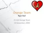 Orange Team Ryan Null - slide 1
