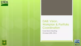 DAB: Vision,  Workplan  &amp; Portfolio Coordination