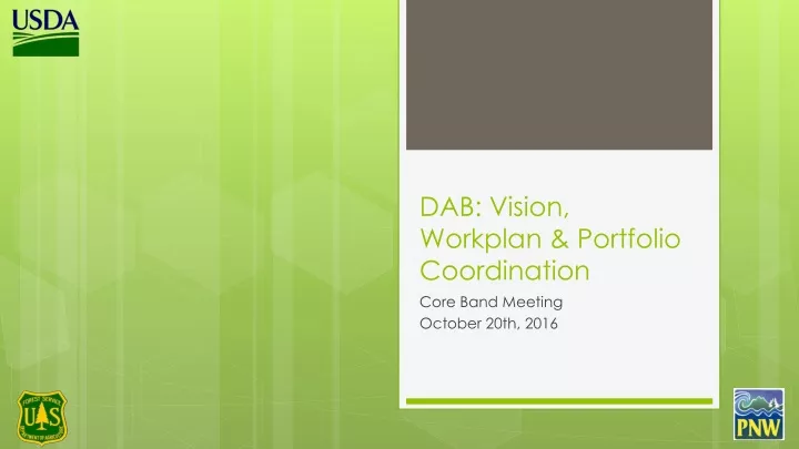 dab vision workplan portfolio coordination