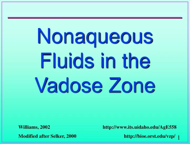 nonaqueous fluids in the vadose zone