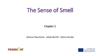 The Sense of Smell Chapter 2