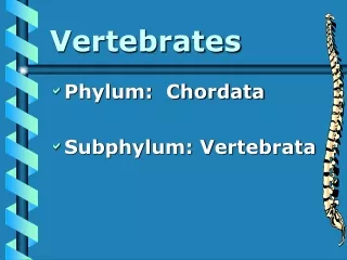 Vertebrates