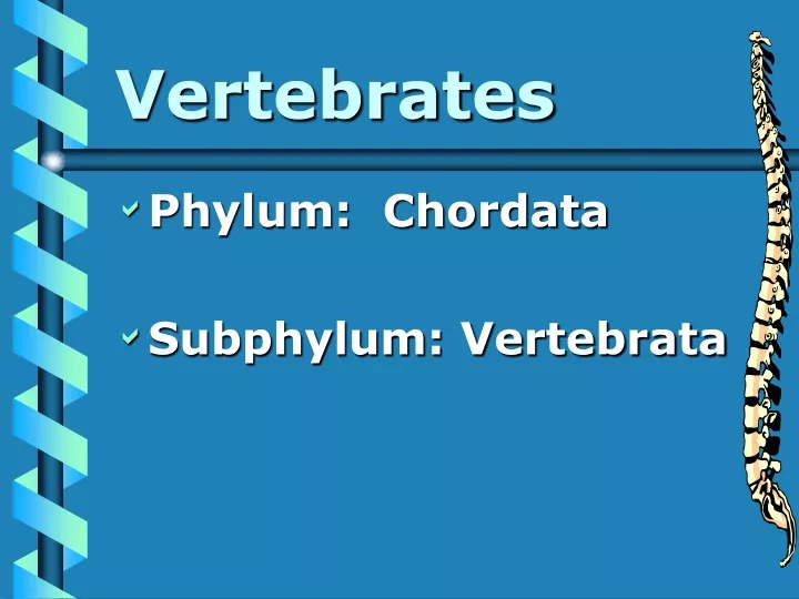 vertebrates