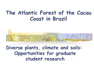 The Atlantic Forest of the Cacau Coast in Brazil