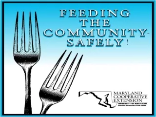 Feeding the Community- SAFELY!