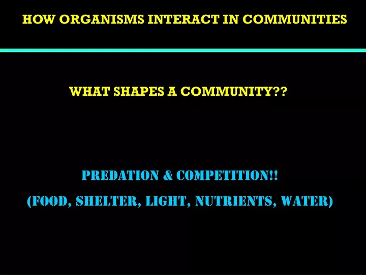 how organisms interact in communities