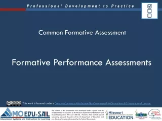 Formative Performance Assessments