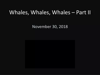 Whales, Whales, Whales – Part II