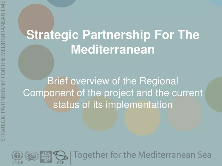 strategic partnership for the mediterranean brief