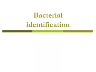 Bacterial identification