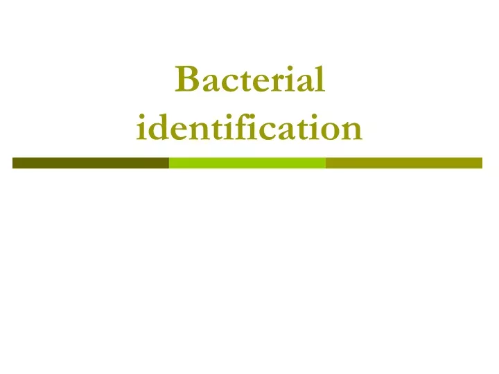 bacterial identification