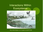 Interactions Within Ecosystems - slide 1