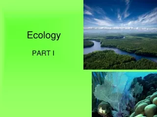 Ecology