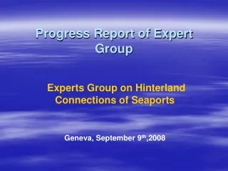 Progress Report of Expert Group