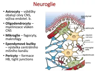 Neuroglie