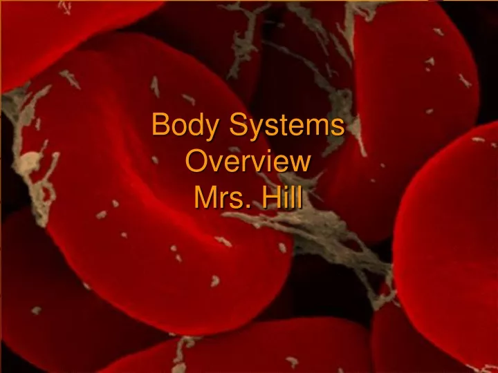 body systems overview mrs hill