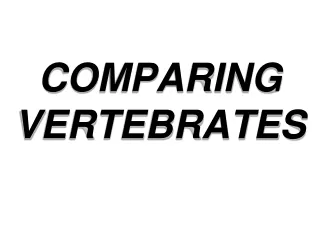 COMPARING VERTEBRATES
