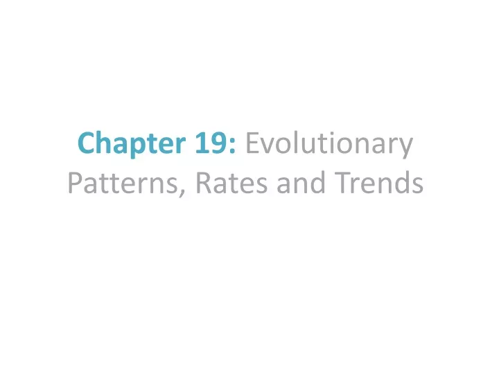 chapter 19 evolutionary patterns rates and trends