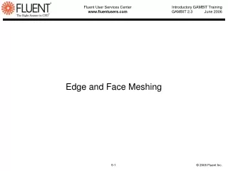 Edge and Face Meshing