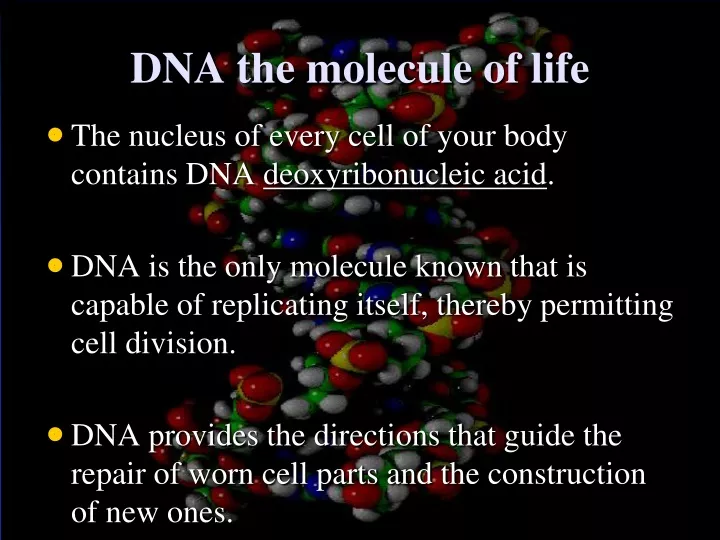 dna the molecule of life