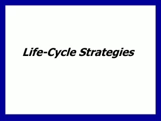 Life-Cycle Strategies