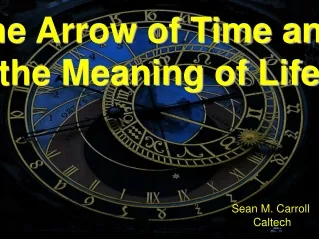 The Arrow of Time and  the Meaning of Life