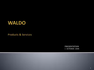 WALDO  Products &amp; Services