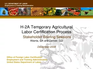 Office of Foreign Labor Certification           Employment and Training Administration