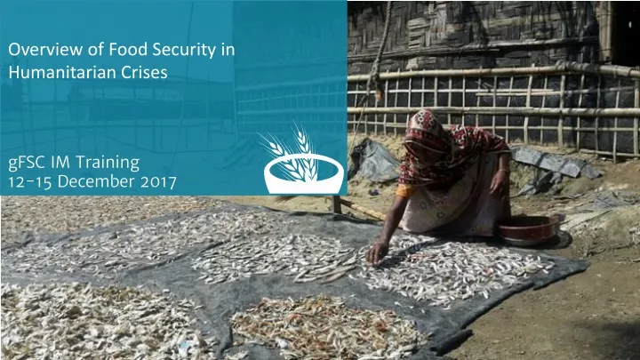 overview of food security in humanitarian crises