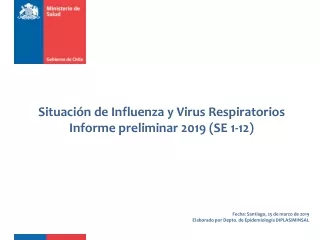Situación  de Influenza y Virus Respiratorios Informe  preliminar 2019  (SE  1-12)