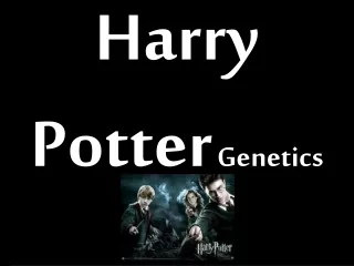 Harry Potter Genetics