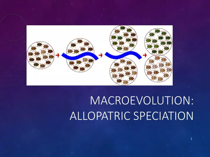 macroevolution allopatric speciation