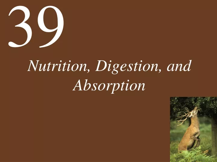 nutrition digestion and absorption