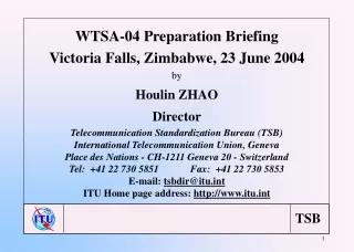 WTSA-04 Preparation Briefing Victoria Falls, Zimbabwe, 23 June 2004 by Houlin ZHAO Director