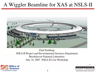 A Wiggler Beamline for XAS at NSLS-II