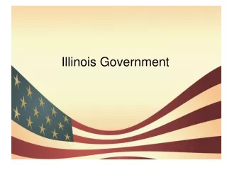 Illinois Government