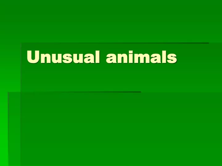 unusual animals