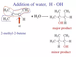 Addition of water,  H - OH