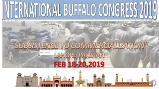 International  BUFFALO CONGRESS 2019