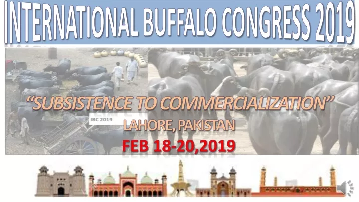 international buffalo congress 2019