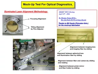 Mock-Up Test For Optical Diagnostics