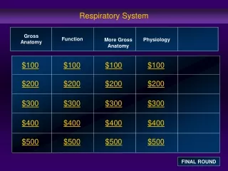 Respiratory System