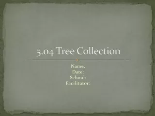 5.04 Tree  Collection