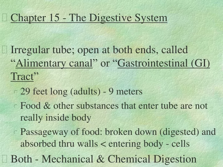 chapter 15 the digestive system irregular tube